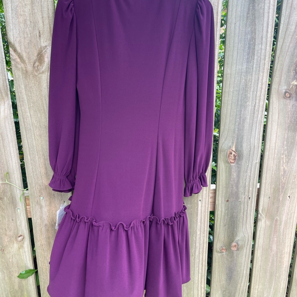 Deep Purple Ruffled Dress - Picture 7 of 12